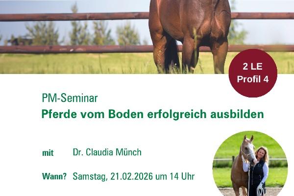 Bild zu „PM-Seminar: Pferde vom Boden erfolgreich ausbilden"